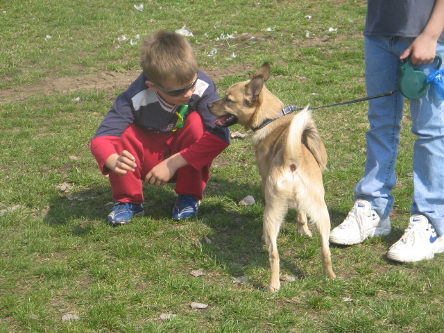 foto 009 020