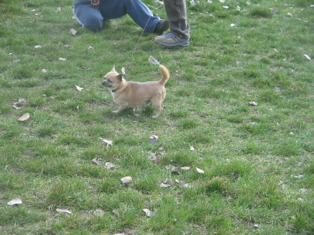 foto 009 022