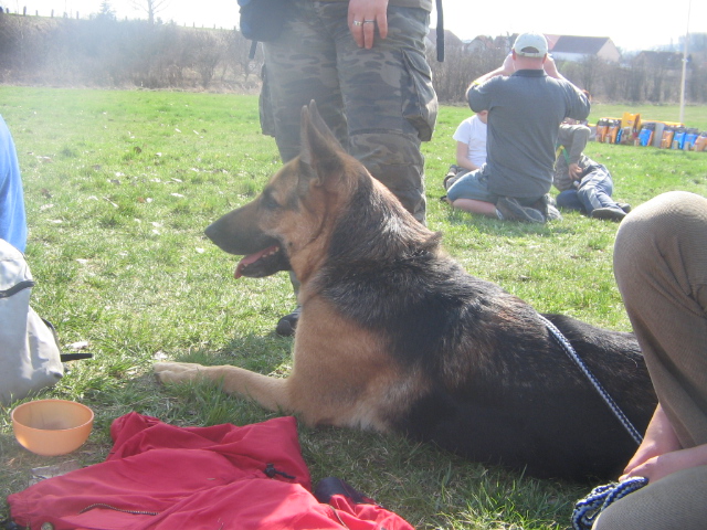 foto 009 037