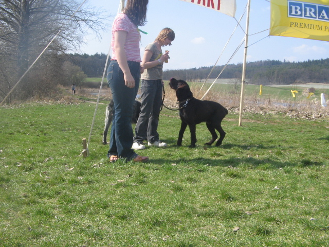 foto 009 046