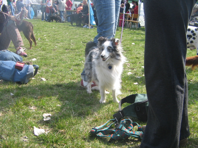 foto 009 005