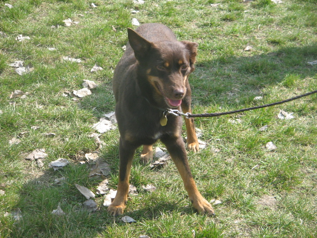foto 009 007